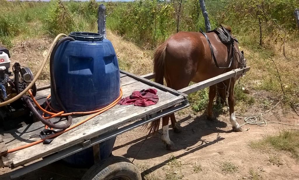 Figura 14 Utilização de