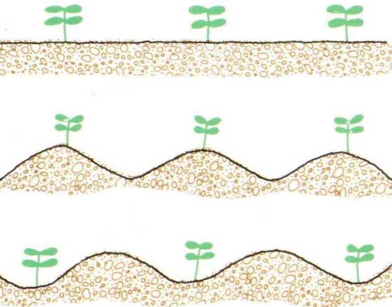 Preparo convencional ou conservacionista Umidade e textura Tipo de semeadura no plano em camalhões Solo Estudos realizados no BRASIL relacionam tipos de preparo do SOLO X EROSÃO.