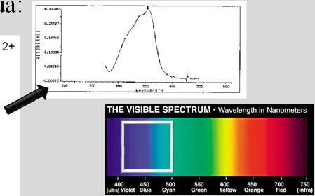 1. Introdução Espectrometria Molecular (UV/Vis): Espectro de banda (~100 nm): Pouco selectivo Em Química Analítica, esta falta de selectividade é ultrapassada através do desenvolvimento de reacções
