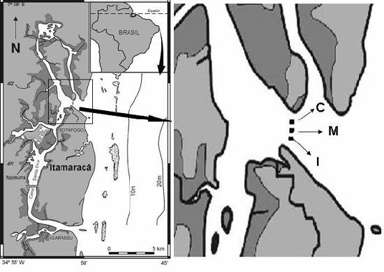 (Borradaile 1915) no sistema estuarino do Canal de Santa Cruz, Pernambuco, Brasil Figura 1 - Sistema estuarino do canal de Santa Cruz, na desembocadura norte, especificando as estações de coleta,