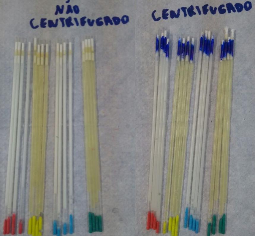 37 Para cada grupo quatro palhetas de 0,25 µl foram envasadas (Figura 13), na dose inseminante de 40x10 6 espermatozoides por palheta, como preconizado pelo Colégio Brasileiro de Reprodução Animal,