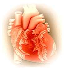 CARDIOTOXICIDADE A cardiotoxicidade pode ser aguda ou crônica.