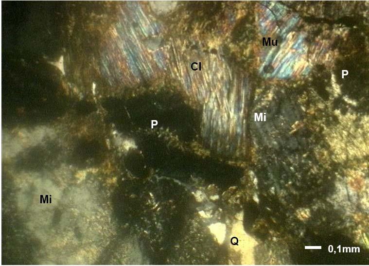 4 Local do Estudo 179 Figura 4.24 Imagem petrográfica da rocha (amostra R01). Aumento de 50 vezes. Luz plana. Cl Clorita; Mu Muscovita; P Plagioclásio; Mi Microclina; Q Quartzo (Oliveira, 2006).