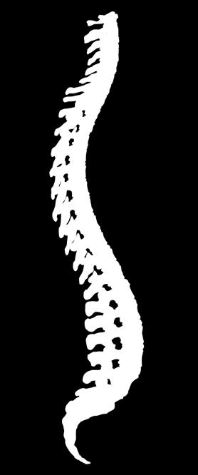 As mais comuns são as fraturas da anca e fraturas vertebrais.