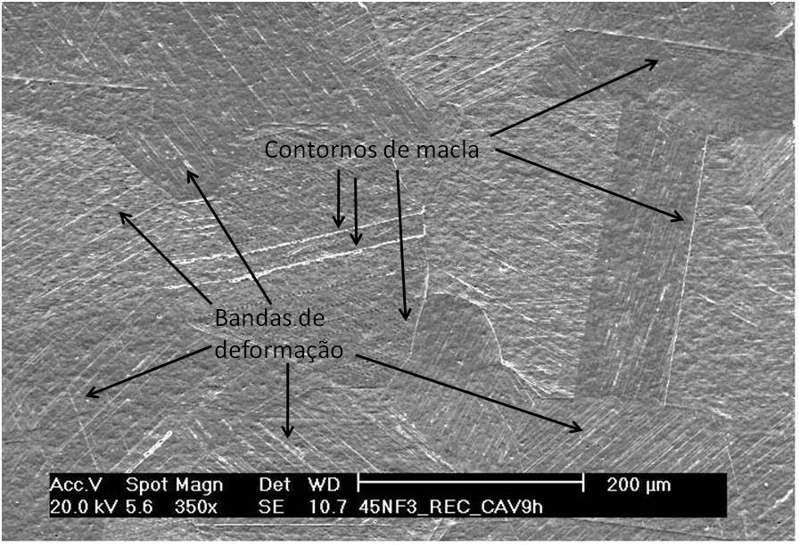 20 Figura 2-6 - Micrografia de um aço inoxidável austenítico após 4 horas de ensaio de erosão por cavitação vibratória (GRAJALES, OSPINA e TSCHIPTSCHIN, 2010) O segundo estágio é o de acumulação, no