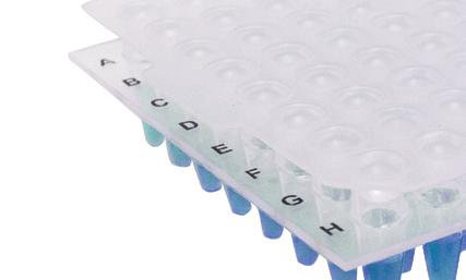 Produtos testados através de PCR e certificados como livres de contaminação por ácidos nucleicos.