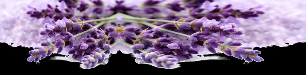 O linalol é o responsável pela sua popularidade na indústria cosmética e de perfumaria, poisbseu aroma floral e levemente adocicado tão presente no óleo essencial extraído das flores da lavanda