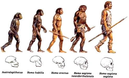 Linha do Tempo da Humanidade da pré-história aos dias atuais 10.