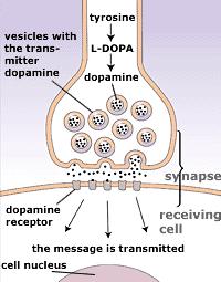 Dopamina