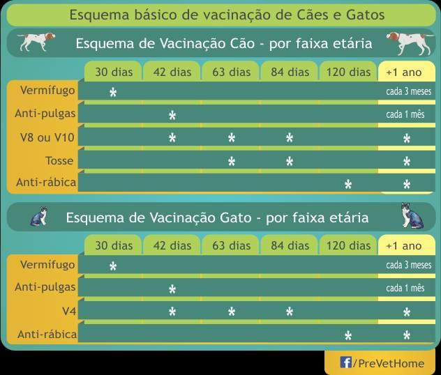 Vacinação Fonte: