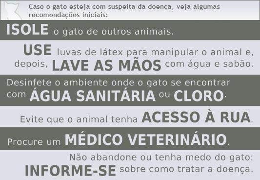 Medidas de controle e prevenção.