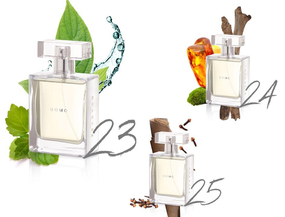 5383 - NUANCES 24 FAMÍLIA OLFATIVA: FOUGÈRE AROMÁTICO INSPIRAÇÕES: SAUVAGE - DIOR Essa fragrância revela uma masculinidade forte e inconfundível.