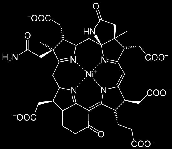 Metil-coenzima-M redutase (MCR) Atualmente estima-se que cerca de 10 9 toneladas de CH 4 são geradas por