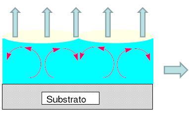 Evaporação dos solventes 3.