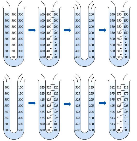 Multiplicador em contracorrente Alça de Henle Fluxo contrário Descendente Fluido intersticial