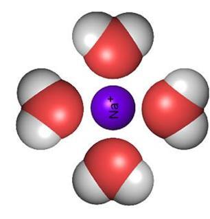 Macromoléculas Withers (1992)