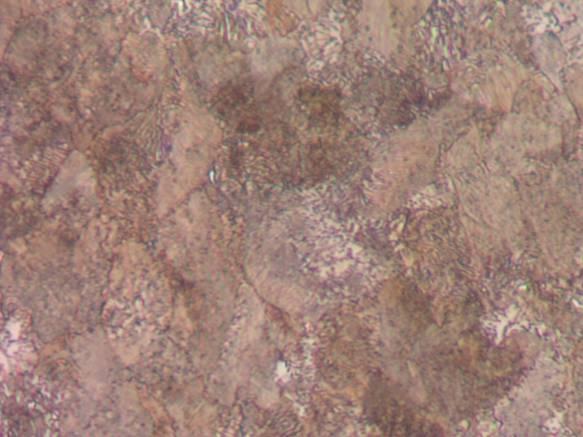 (a) (b) Figura 2: Microscopia Óptica (MO) destacando a austenita retida (fase clara) - (a) na
