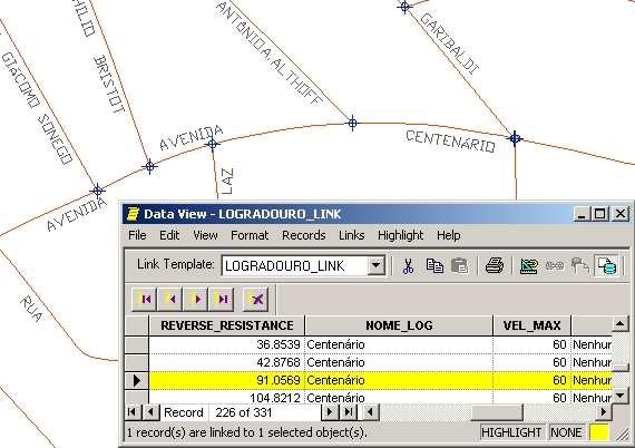 TIPOS DE DADOS EM GEOPROCESSAMENTO REDES Exemplo: Rede Viária, Serviços Públicos (Água, Energia, etc. No caso de redes, cada objeto geográfico (ex.