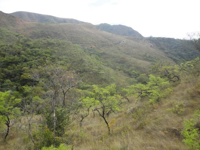 36 No geral, sua paisagem possui uma confluência entre o cerrado e a floresta atlântica, cujo seus elementos diferem de acordo com sua altitude, onde em áreas mais altas, predomina a vegetação típica