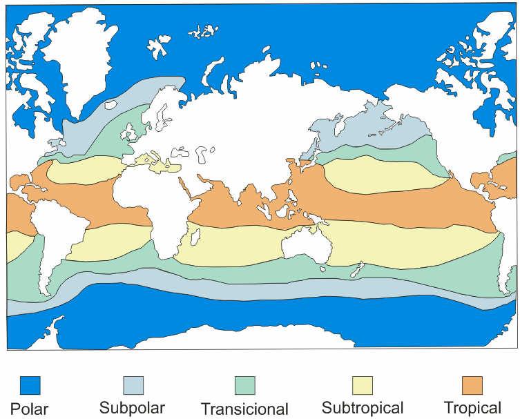 29 estabeleceu cinco principais zonas de distribuição das espécies (Figura 1) : tropical (14 dominantes e 10 codominantes), subtropical (13 espécies dominantes e 7 codominantes), temperada (dominada