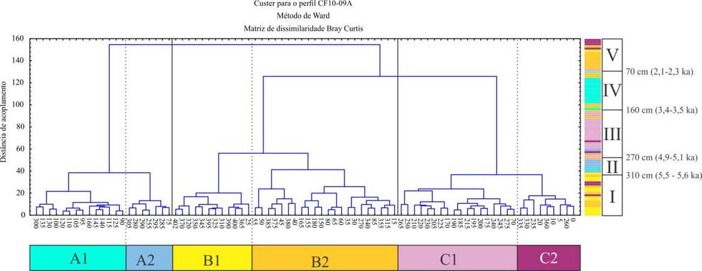 93 A1-5,5 5,1 ka cal AP) e 145 90cm (sub-grupo A2-3,2 2,5 ka cal AP) onde a porcentagem de espécies indicadoras da AT foram maiores; o grupo B reuniu a base (subgrupo B1) e entre 70 e 30 cm