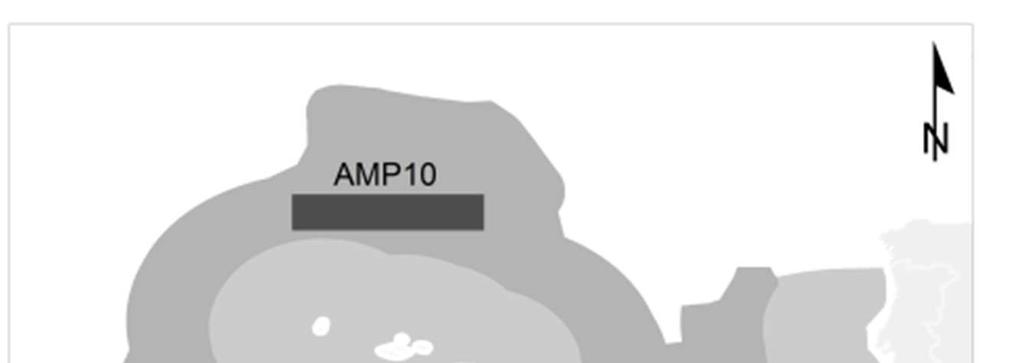 AMP 10 ÁREA MARINHA PROTEGIDA DA DORSAL MÉDIA ATLÂNTICA A NORTE DOS AÇORES Designação convencionada MARNA Área total 93 568 km 2 Limites Fundos marinhos e subsolo; coluna de água não incluída