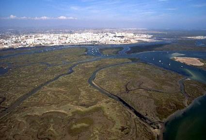 Quais são as áreas protegidas portuguesas? Para proteger alguns ecossistemas em território nacional, criaram-se vários tipos de áreas protegidas. Parque Natural Parque Natural da Ria Formosa.