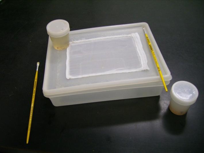 Metodologia Levantamento e coleta de insetos Os organismos coletados foram acondicionados em frascos de plásticos de 100 ml, e levados ao Departamento de Defesa Fitossanitária da Universidade Federal