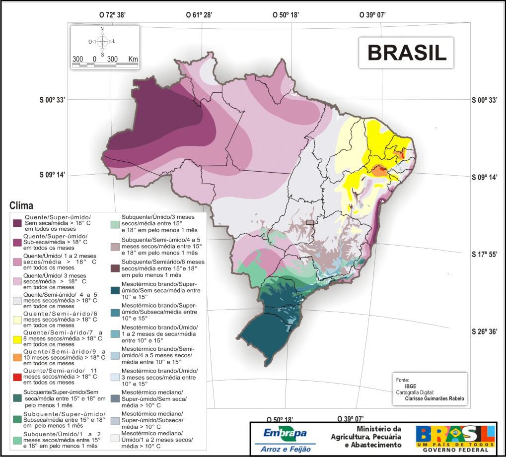 Regionalização de áreas produtoras de feijão comum... 3 pudessem ser agrupados em regiões homogêneas.