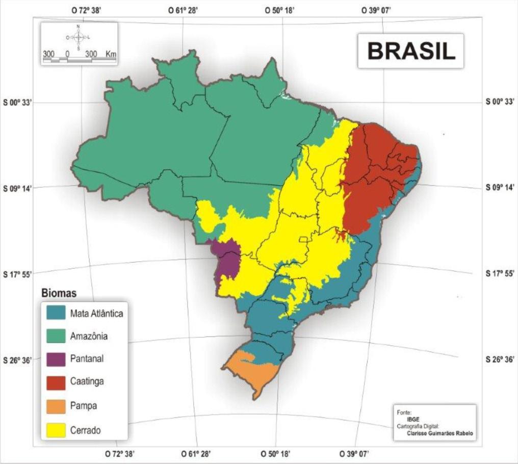 É possível o agrupamento de estados em regiões semelhantes da seguinte forma: 1- Rio Grande do Sul, Santa Catarina e Paraná; 2- Acre, Rondônia, Amapá, Amazonas, Pará e Roraima; 3 - Minas Gerais,