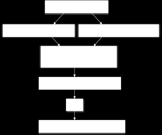 A figura seguinte sintetiza o processo de formação de uma imagem por fmri.