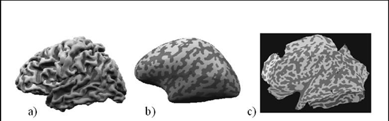 9.4. Representação plana Muitas vezes a visualização dos dados finais pode ser simplificada, transformando o córtex cerebral (3D) numa representação plana, 2D (flat mapped brain).