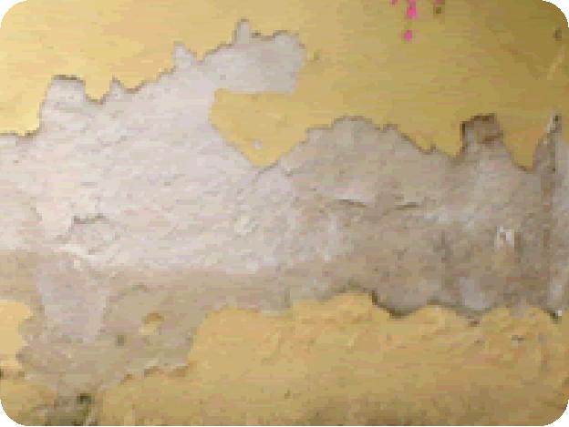 DESAGREGAMENTO Sinais: Destruição da pintura (esfarelar), destacando-se da superfície juntamente com partes do reboco.