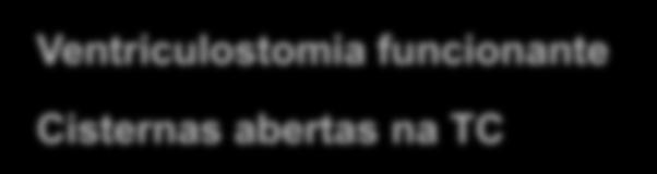 TC sem lesão cirúrgica Sim