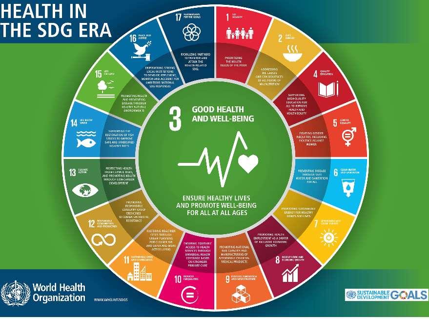Setembro 2015 (Objectivos do Milénio - Metas 2030) Saúde no desenvolvimento sustentável a) 17 metas b) 169