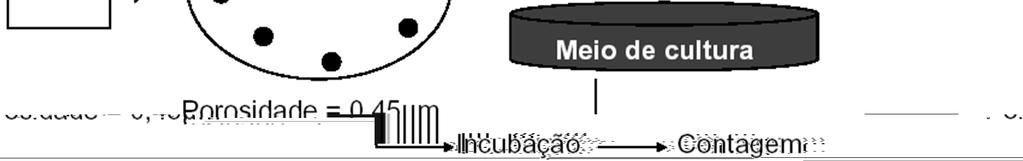 Técnicas de análise microbiológica