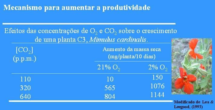 CO 2,O 2 e