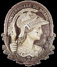 Universidade Federal do Rio de Janeiro