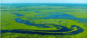 Pantanal Maior