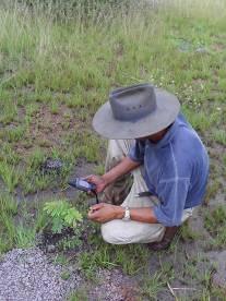 Análise da Adicionalidade: Obstáculos de Investimento Falta de recursos por parte dos assentados e do INCRA para adequação ambiental dos assentamentos.