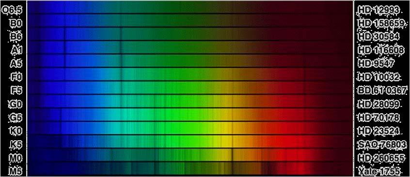Os Espectros Estelares Indicam a Composição das Estrelas Annie J. Cannon estudou o espectro de mais de 400,000 estrelas e percebeu uma correlação entre o tipo espectral (A, B, C, etc.