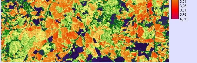 imageamento, condições atmosféricos e a presença de biomassa seca do dossel.