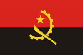 PERFIL DO PAÍS EM 2016 EM RELAÇÃO ÀS DTN Angola O presente perfil do país apresenta uma panorâmica do progresso de Angola em termos de cobertura das pessoas que necessitam de tratamento em massa das
