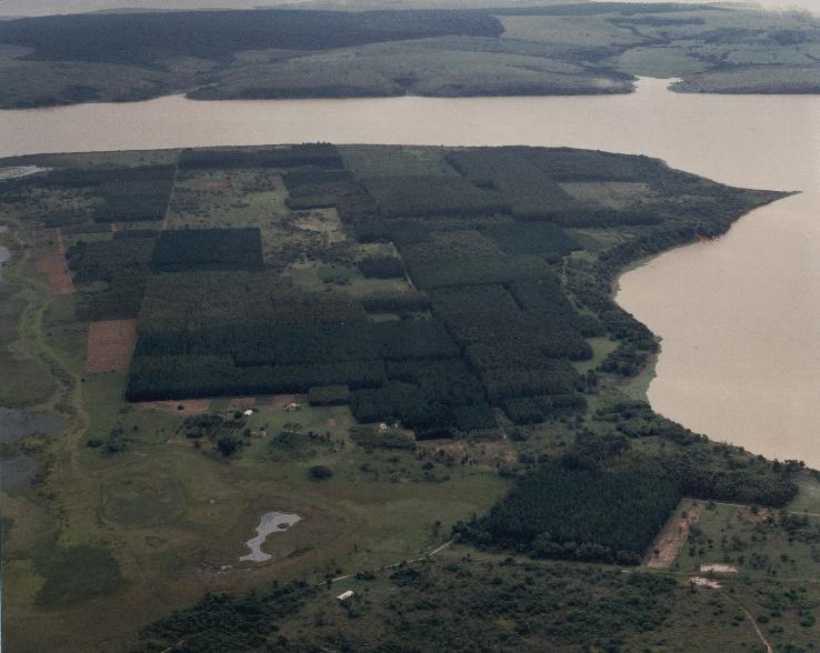 Estação Experimental de Ciências Florestais de Anhembi, SP Incorporação e início dos plantios: 1975 664 ha na margem do