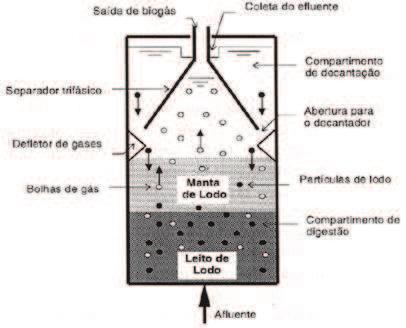 92 Figura 29 Esquema em reator anaeróbio em corte Fonte: Chernicharo (1997, p.