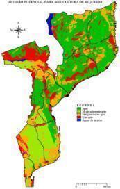 Million Hectares II. Sector da Agricultura (.2) 3.