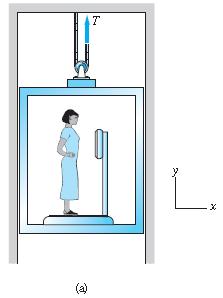 13 Forças: Como mostra a Fig.13(a) uma mulher de 45 kg encontra-se em cima de uma balança num elevador em movimento de subida e que pesa 8000 N.