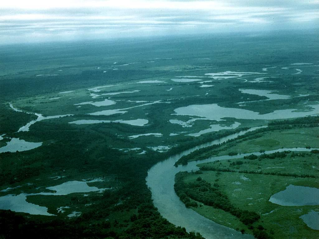 6 Bioma do Pantanal http://planetams.blogspot.com.