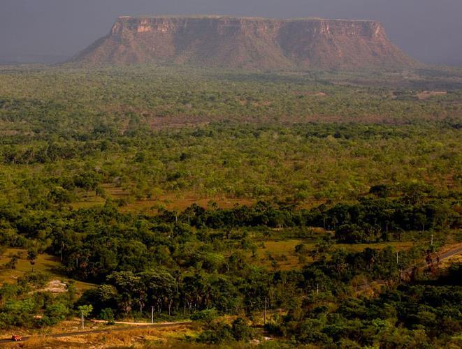 Vista da