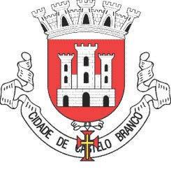 Regulamento Conselho Municipal de Juventude de Castelo Branco De acordo com a Lei n.